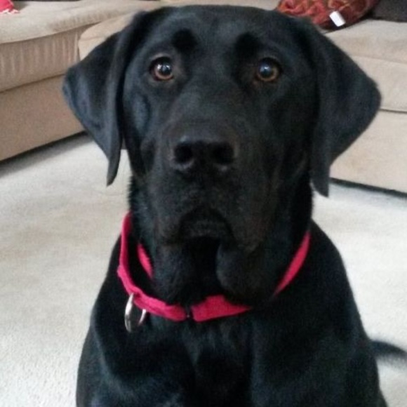 Meet your Posher, Leslie - Picture 1 of 1